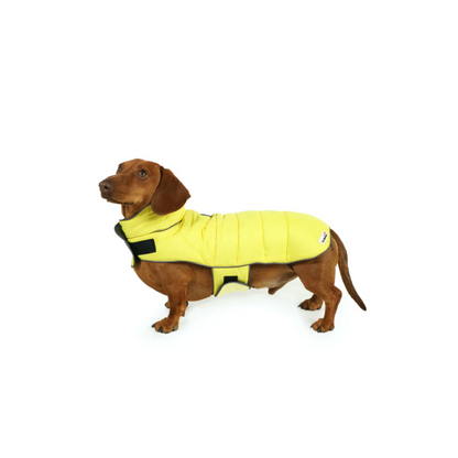 Doodlebone Reversible Puffer Dog Jacket Lemon/Smoke - Size 5-7