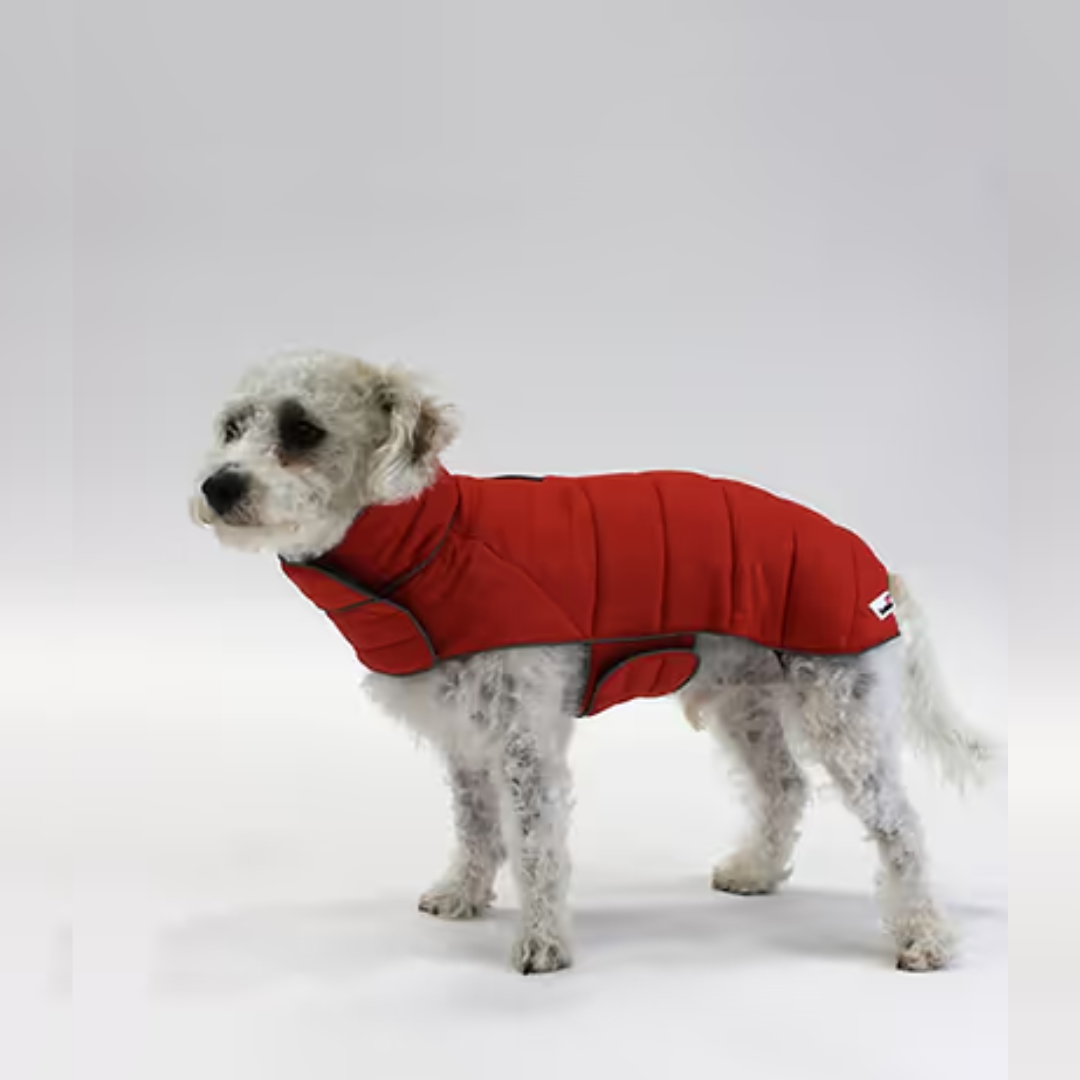 Doodlebone Combi-Puffer Dog Jacket - Orange - Size XL