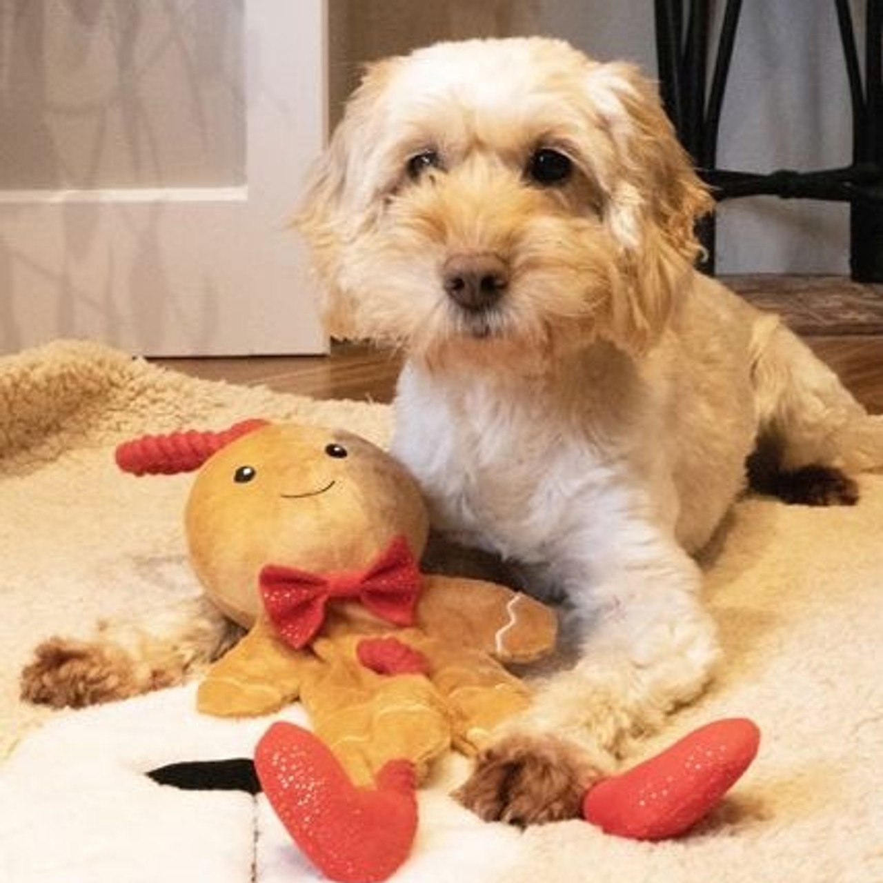 Cupid & Comet George The Gingerbread Christmas Dog Rope Toy